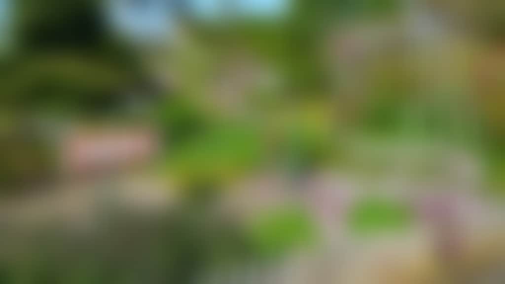 4Ca6A32A3Dbc5298Ff985A2943B23D82