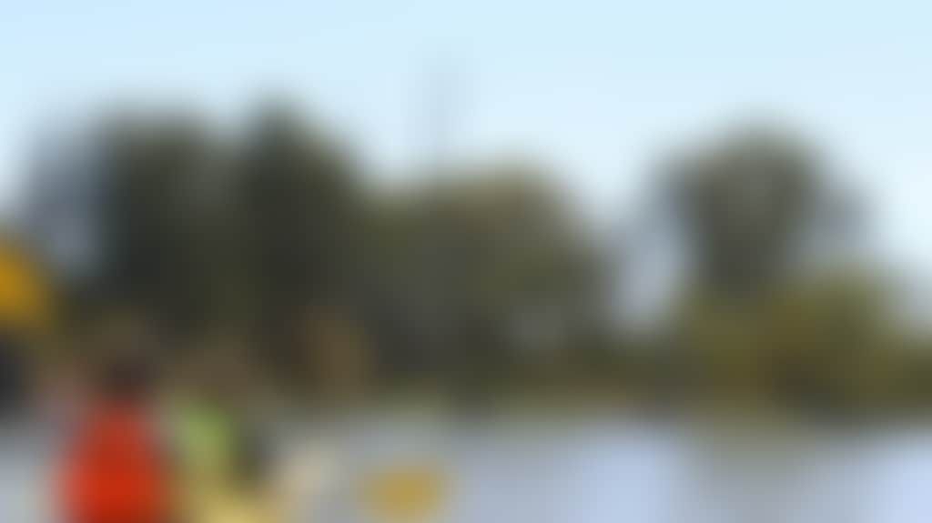 E0C5B5B6344127E32124588B80384581