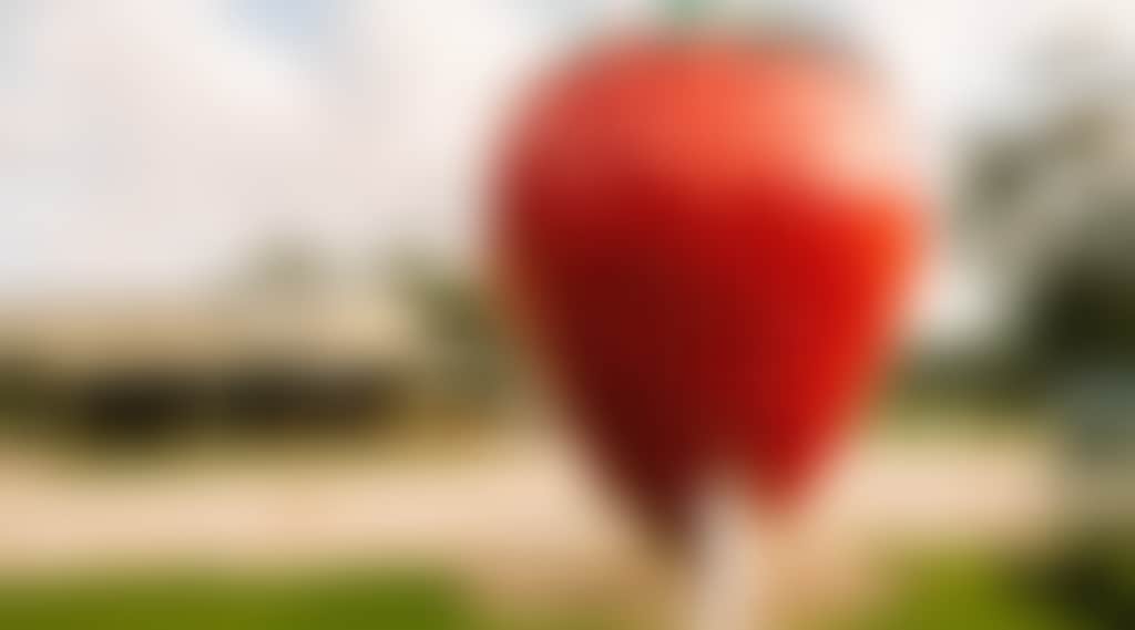 Girl at Big Strawberry Koonoomoo
