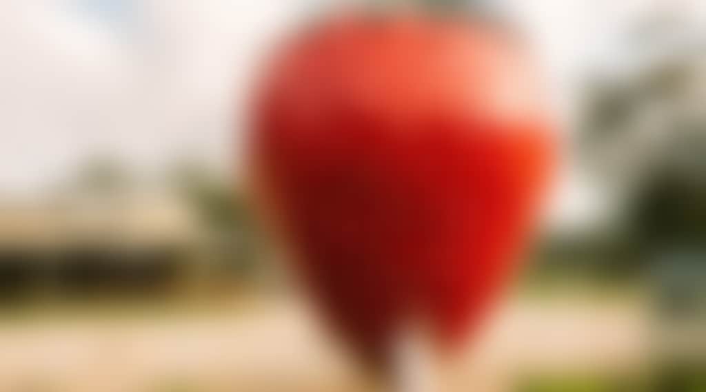 Girl at Big Strawberry Koonoomoo
