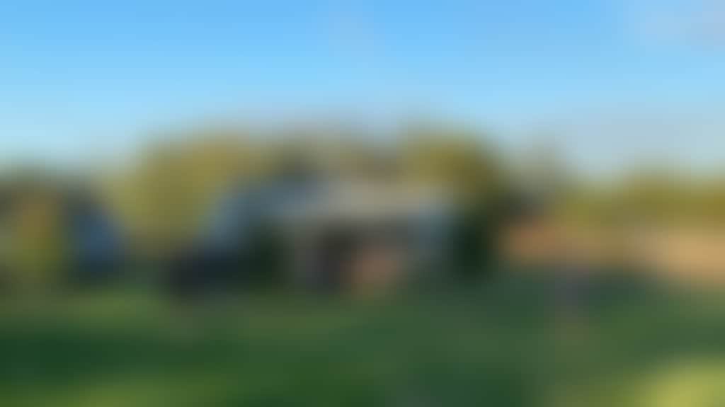 Denitom-Acres-Maple-Riverina_Lc8Tyu4