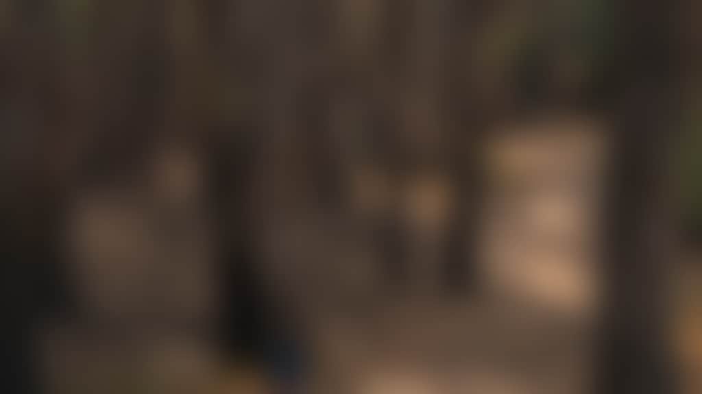 F3D0Eb2B65Ce0Ecf2Ea1Ce70Ad0F0Fe1
