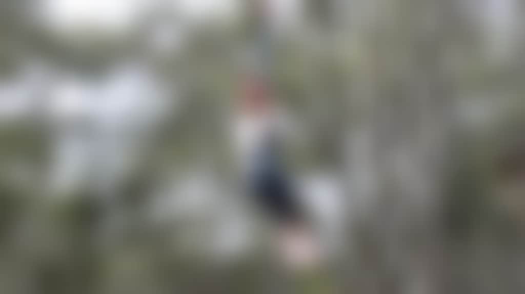 140A351154753C765904Db86Da7104C2