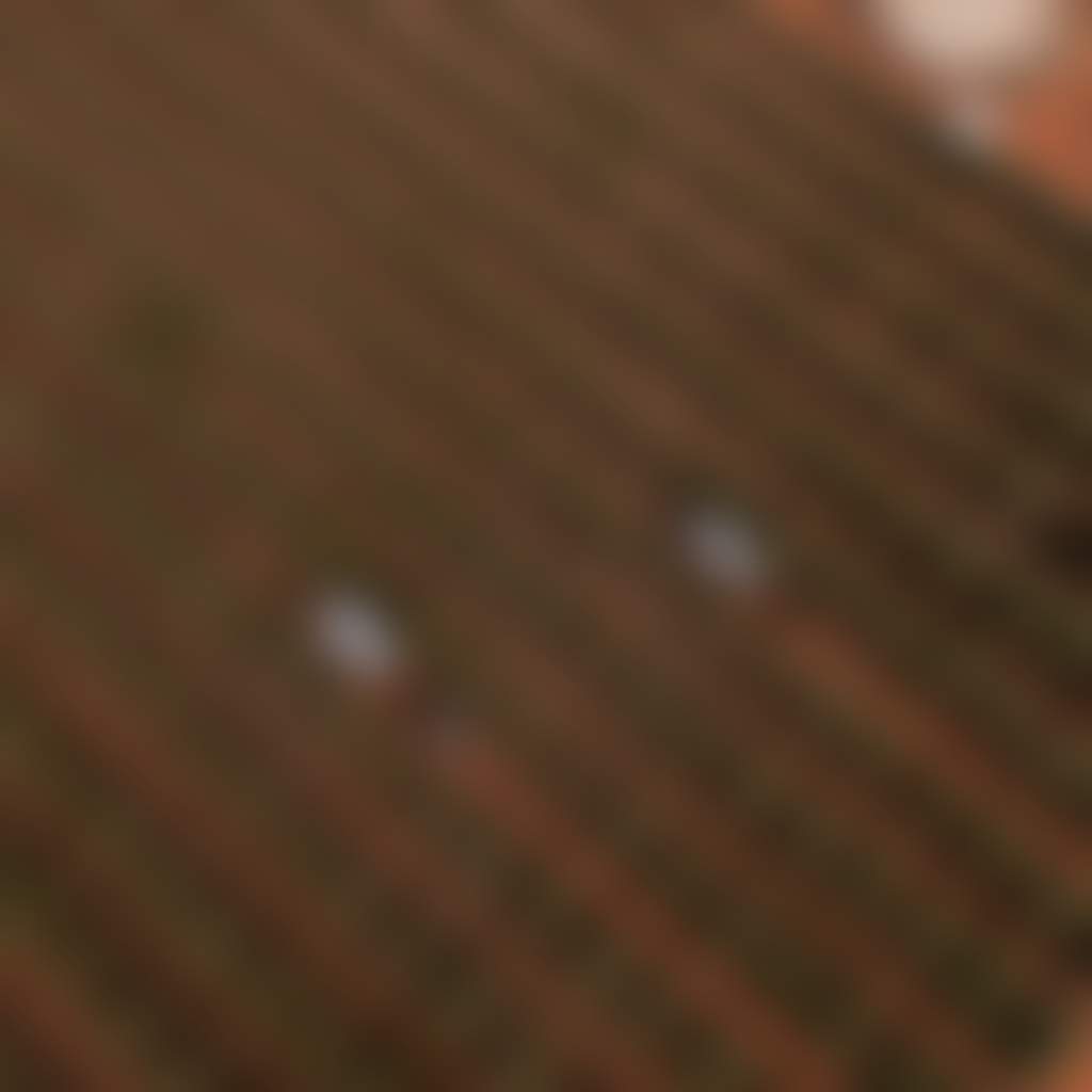 DJI 0128 MOV 00 01 12 28 Still002