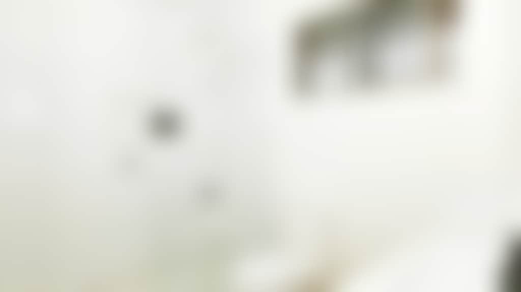 924Cd5388Ba44C173C25368Dcfde1D4D