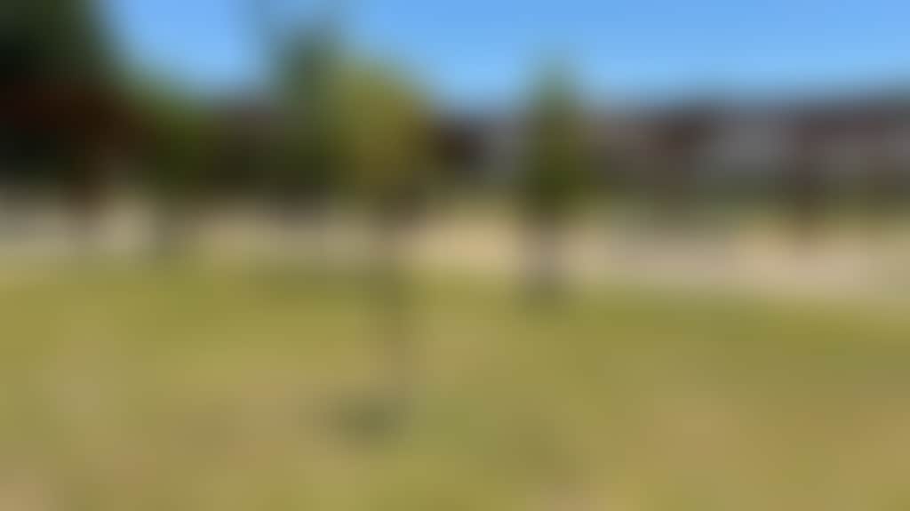 0Efcb29740F1E1C359E49680Dfe4E422