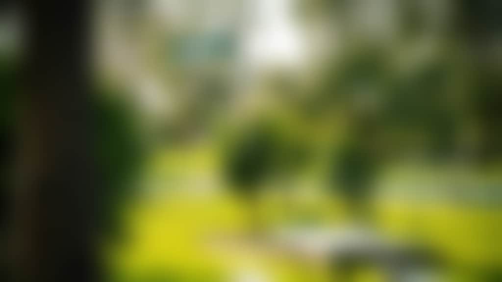63B0024649D8B5F474E51Bfa422F05D5