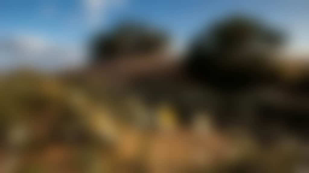 4D2D46934D96A4F914Edfca3E4Cc5994
