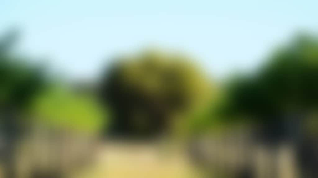 88E5248073F112Cb5D46819Cfe4Fee4C