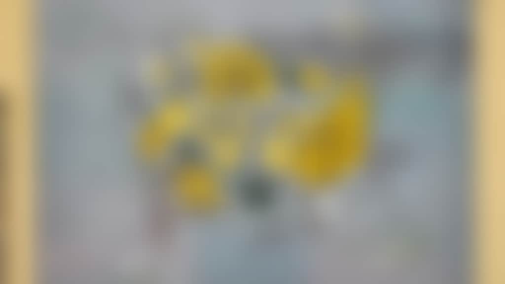 E54956Be346B7Ff713430A0Ea115Dc95