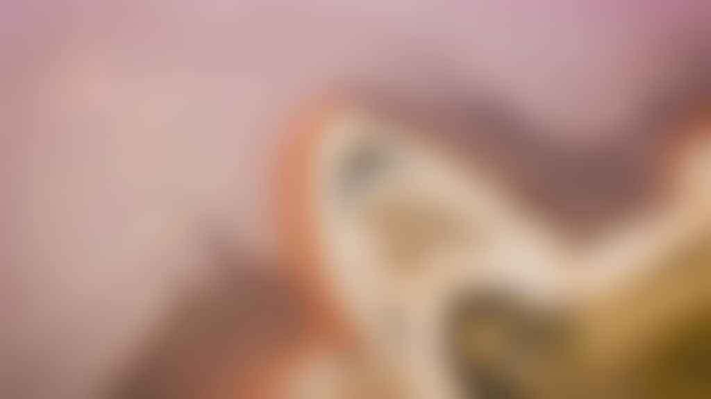 7C6Cdd563D3De44257155636Ea948416