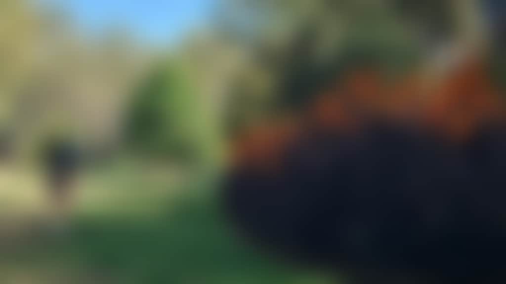 8C295E9709E5506950D78182392Aa002