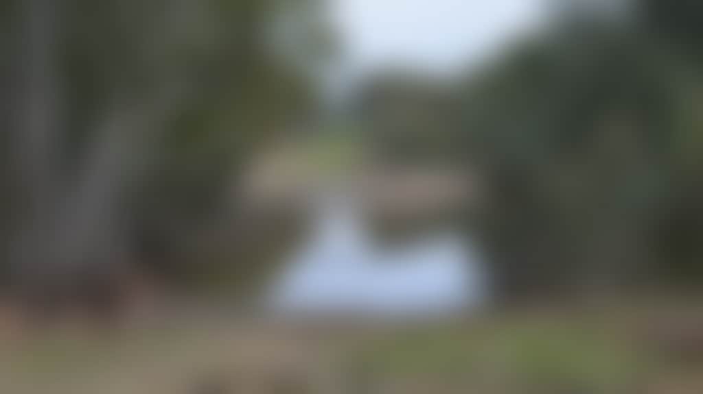 Original__9843566_2710_060_Zh3Od3O