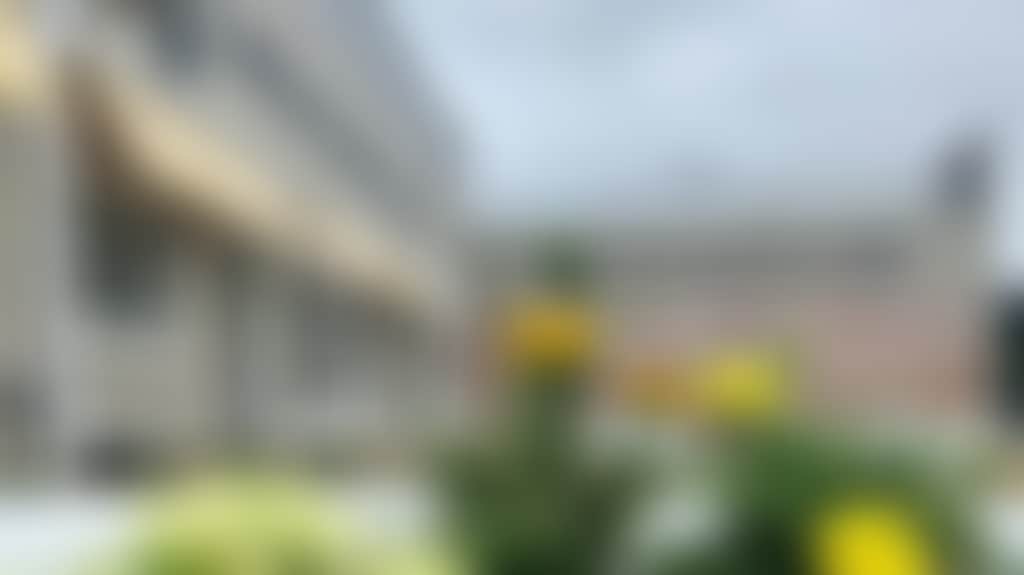Cf3979D441800B07F19310B8F0Bdf0E3