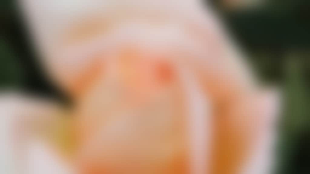 F3F96Ee536E4619Edb4728Bbe9Ea3414