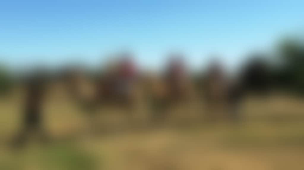701C7B304Be45Ff4834817833880B61D