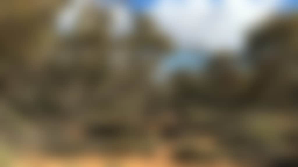 E8Cf8Aeeab687B211F7471Bf938Acabf