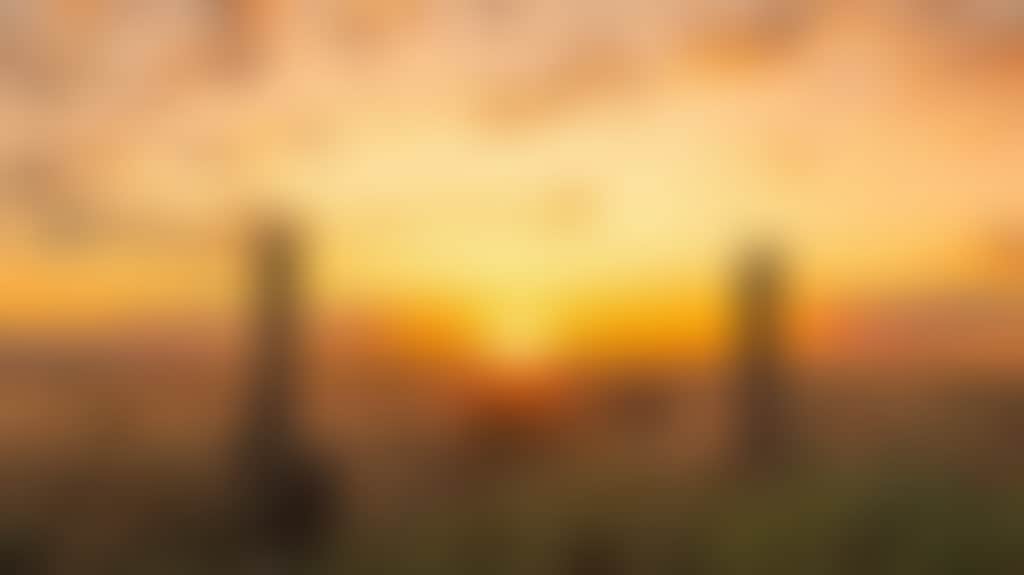 Mungo_Sunrise_Pin4Bzl