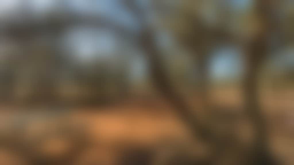 Belah-Campground-01_Qj6Mc5L
