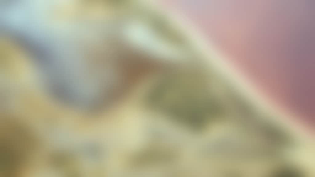 E6Ec5119Fc2Ee0E8248Ca13Dc0Ea0Cb1