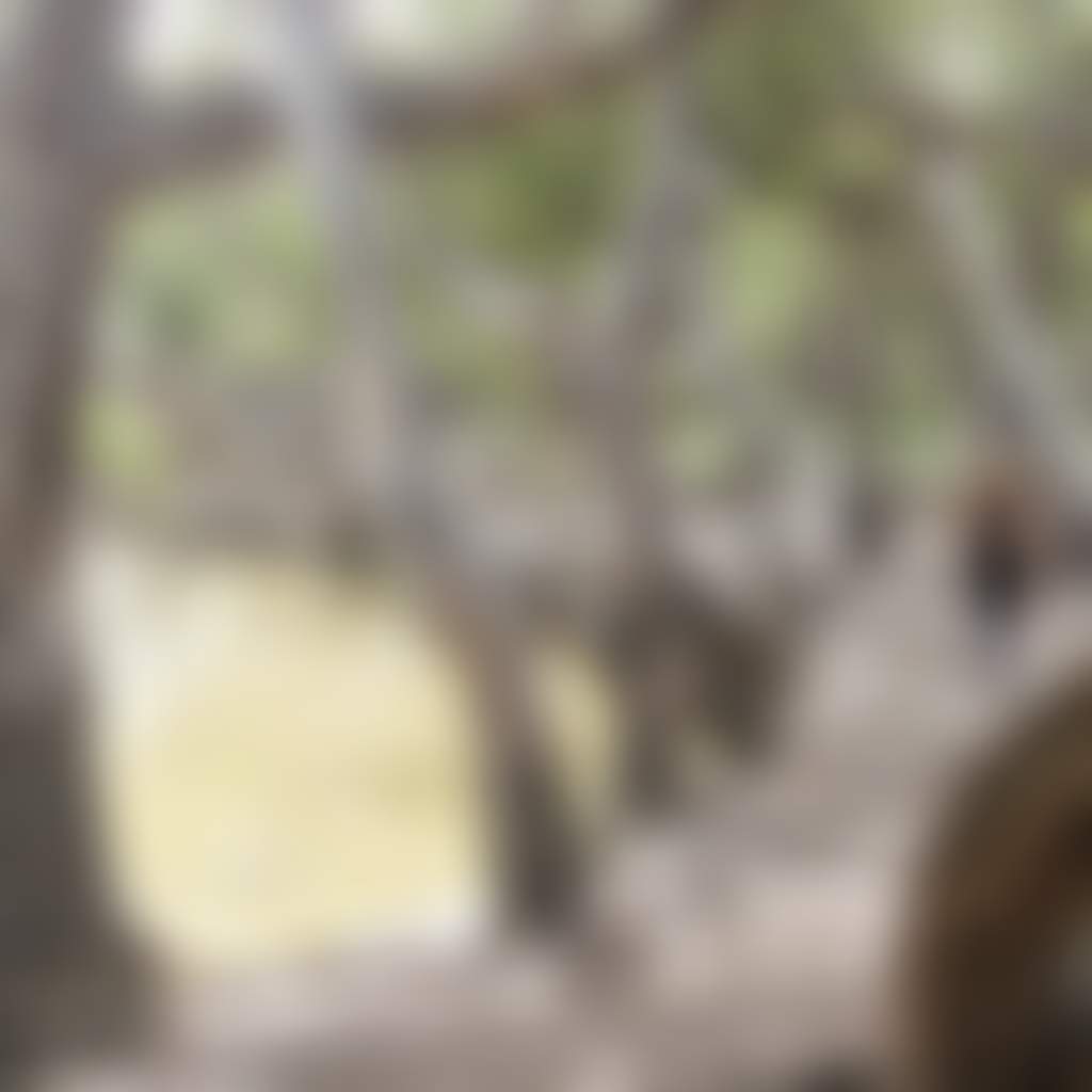 Kerang Regional Park 35