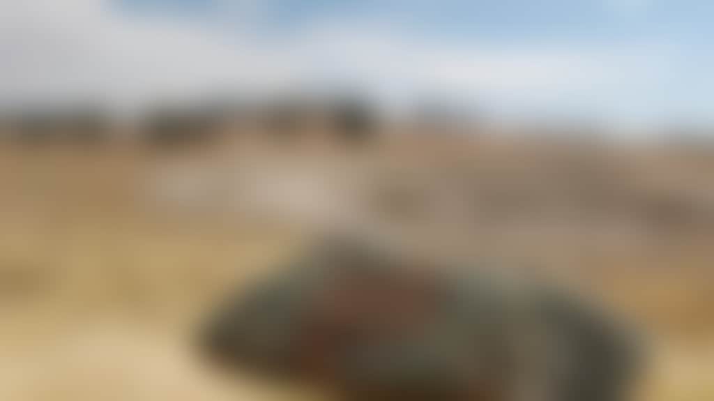 353D09131C886089A19Aa2675F9E30Ca