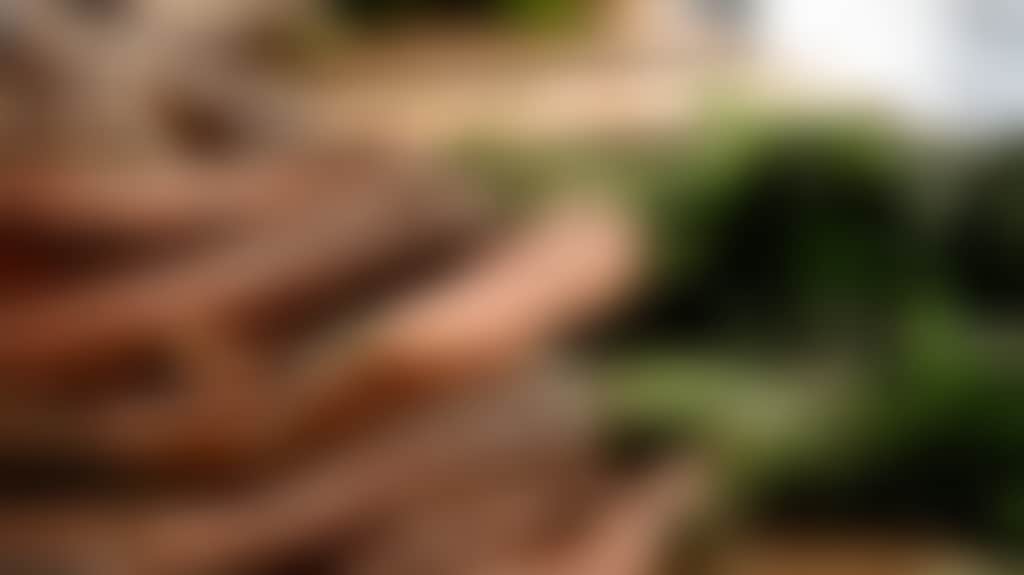 D4236Ad4A5E3263834A0B20E85650744
