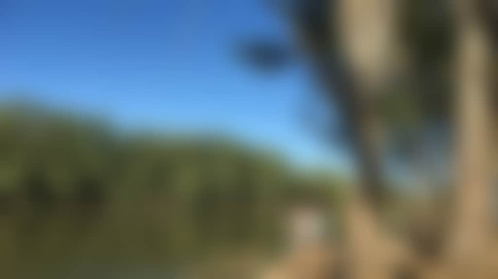 0Eab457E29306Cfea98Ca29263Bcba49