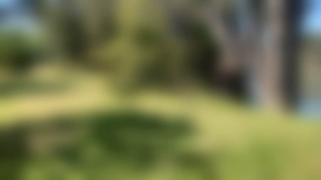 Banks-Of-The-Murray-Corowa-Riverview-Campsites-On-The-Murray_B64Aeca
