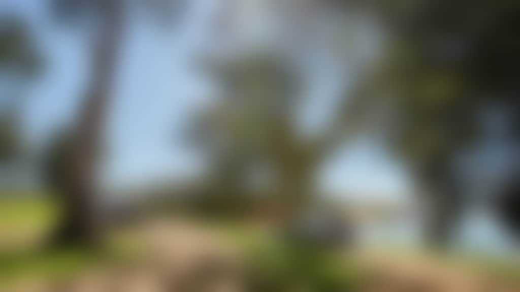C055Fb734F2E6547E395F2D007474Aa5