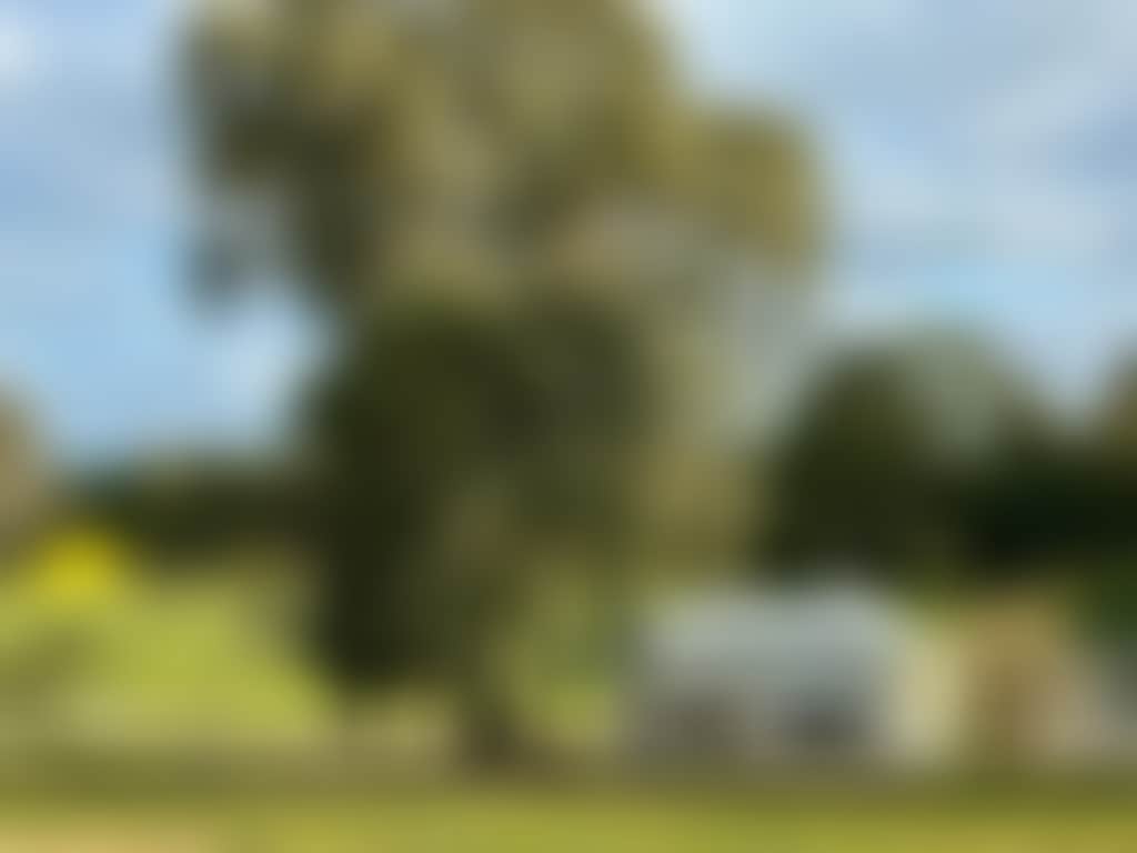 93F3Eb26757F0590882C4F2B69Ede0F0
