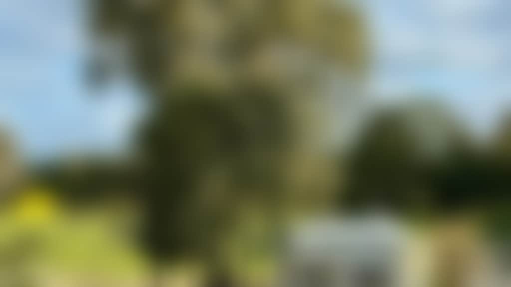 93F3Eb26757F0590882C4F2B69Ede0F0