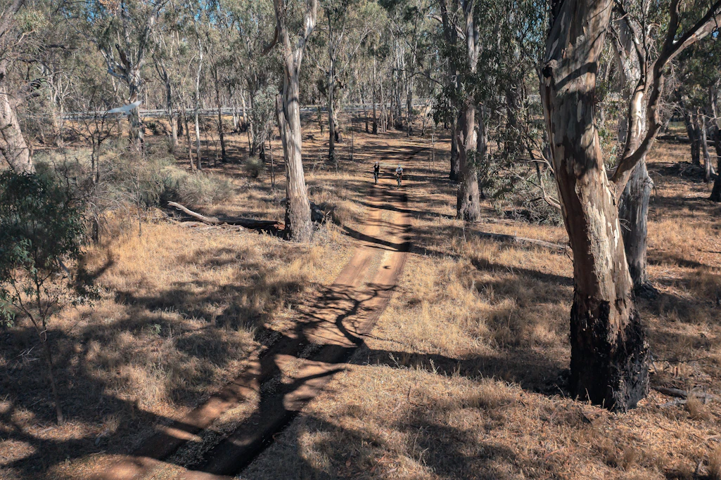 What To Do In Moulamein The Murray River River Country