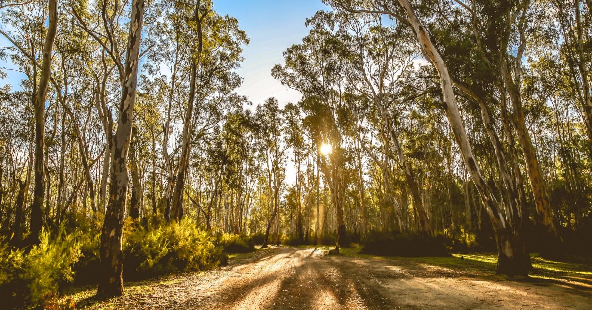 Visit Mathoura & Picnic Point | The Murray River - River Country