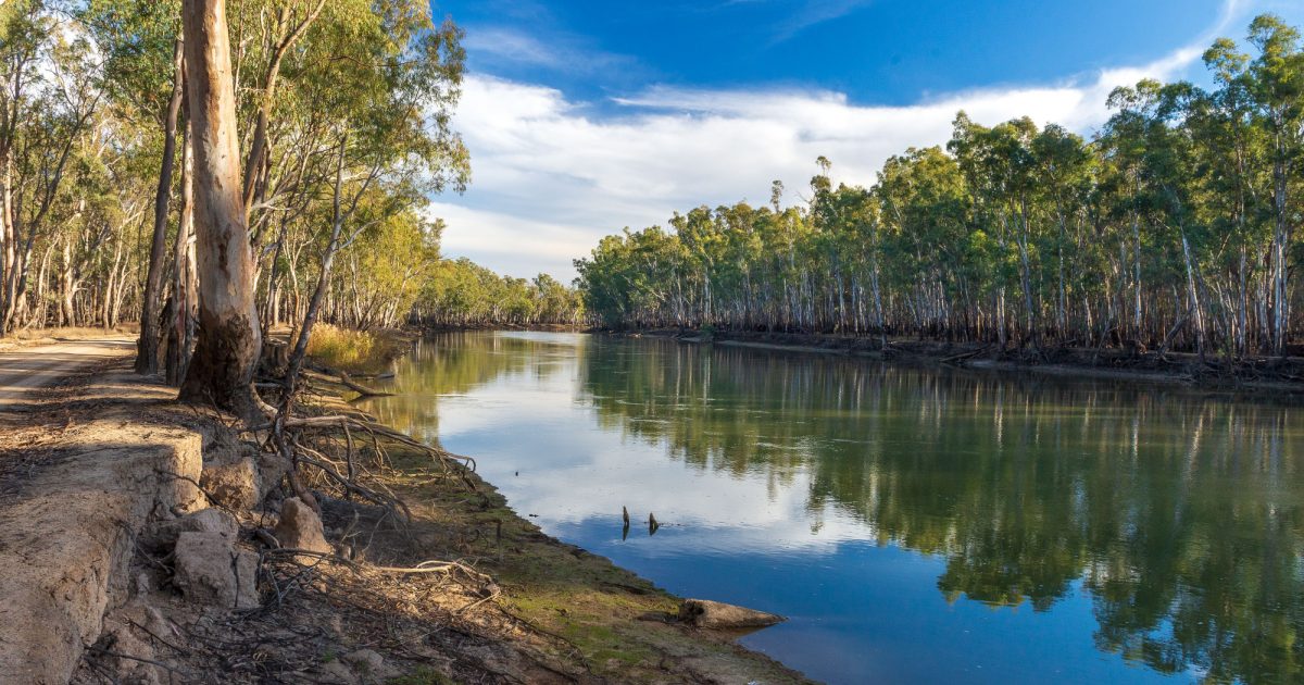 Visit Mathoura & Picnic Point | The Murray River - River Country